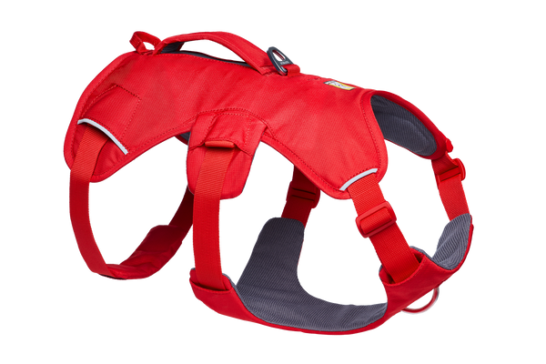 Ruffwear Front Range® Everyday No-Pull Dog Harness