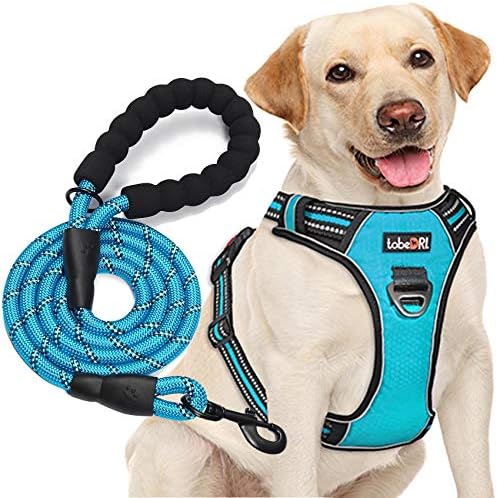 No Pull Reflective Dog Harness & Leash Set - Blue, Large