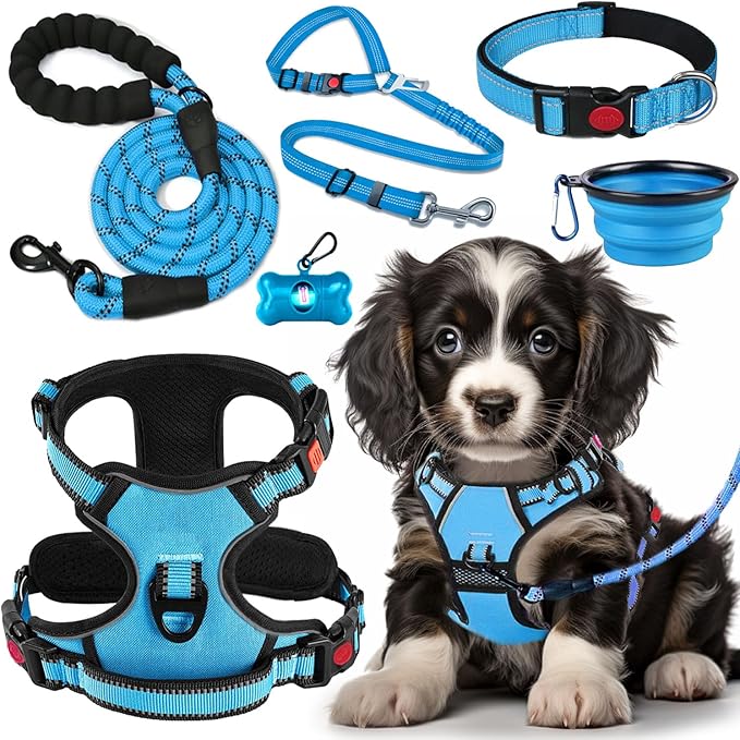 All-In-One No Pull Dog Harness & Travel Set